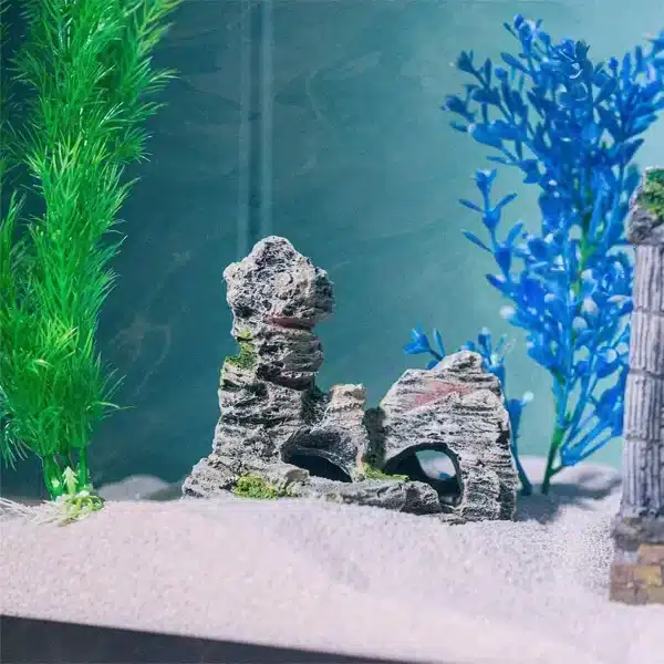 décor aquarium pierre