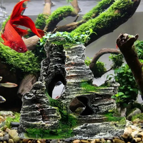 décor aquarium pierre