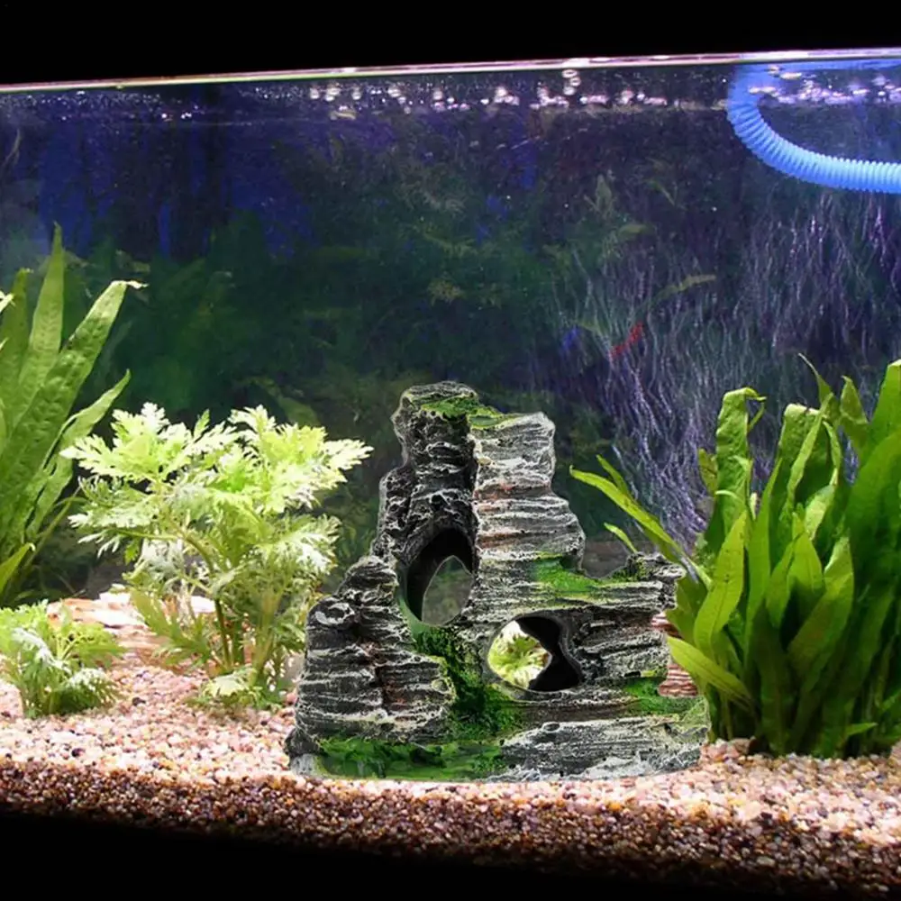 Décoration aquatique pierre