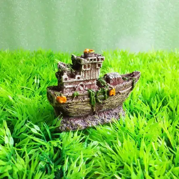 navire aquarium pour poisson