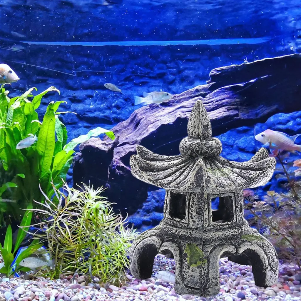 aquarium à la japonaise