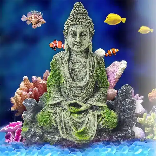 idee deco aquarium zen