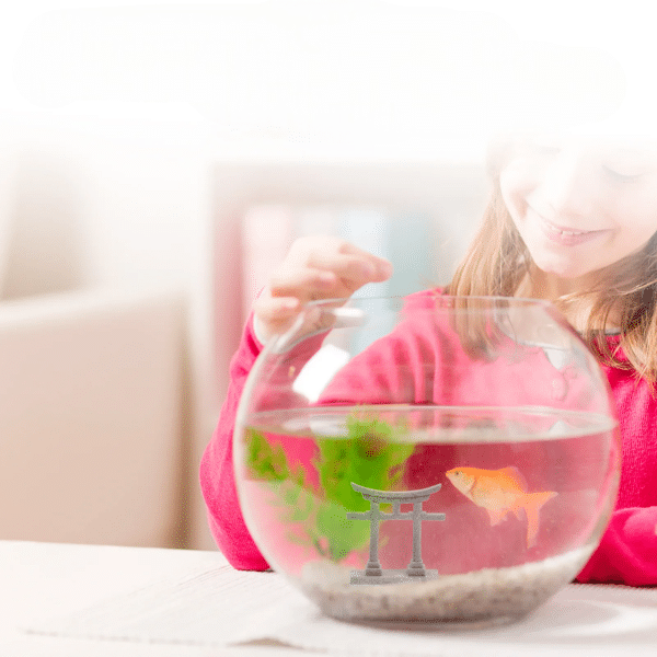 décor aquarium japonais