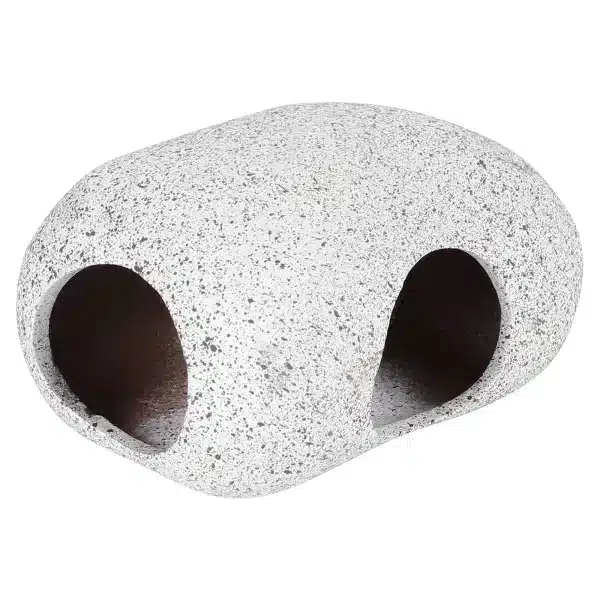 Deco aquarium avec pierre