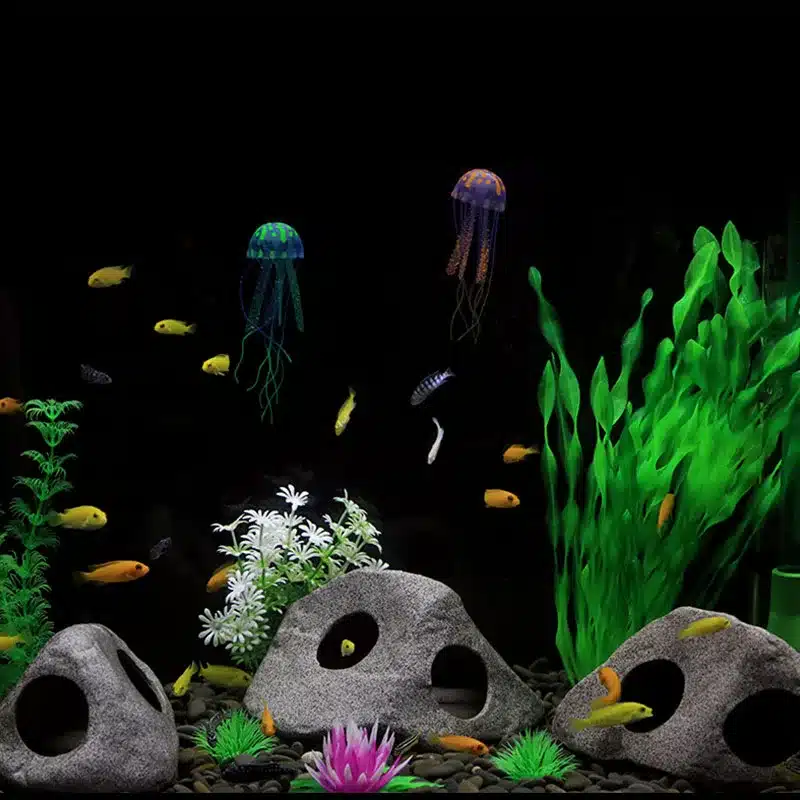 Décoration aquarium pierre