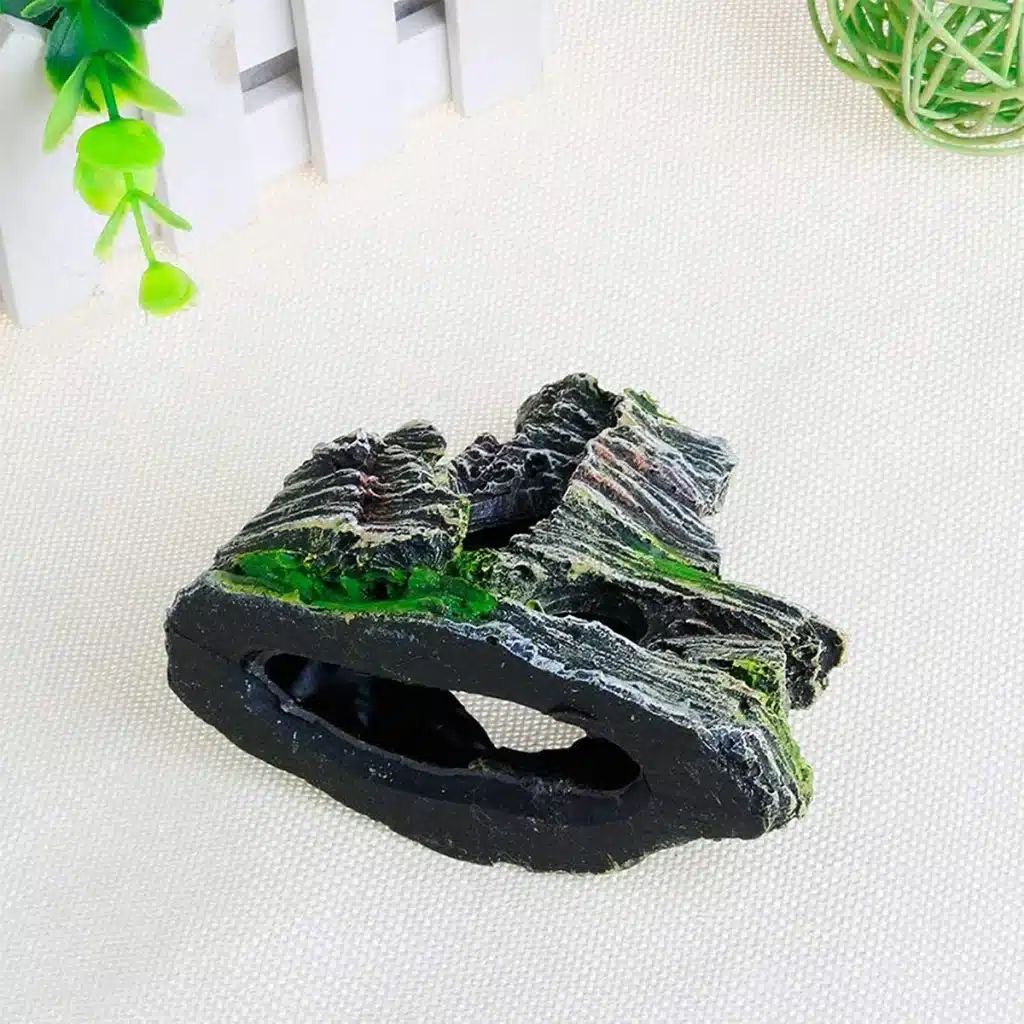 pierre pour terrarium