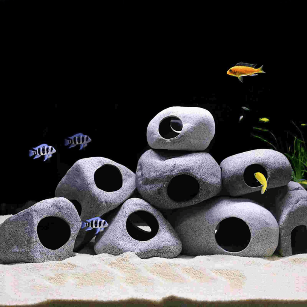 pierre pour terrarium