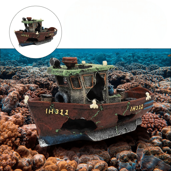 Bateau coulé aquarium