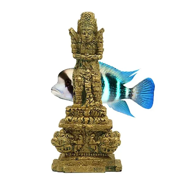 idee deco aquarium zen