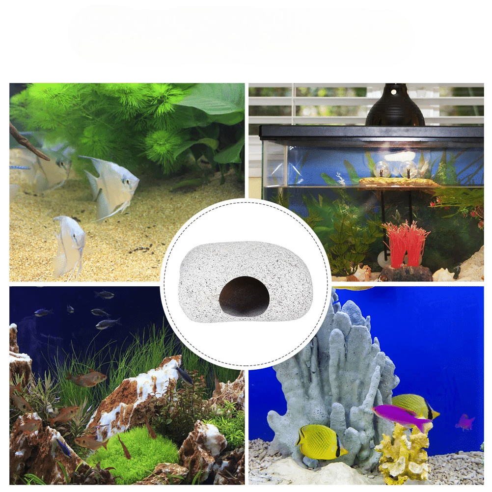 Décoration aquarium pierre