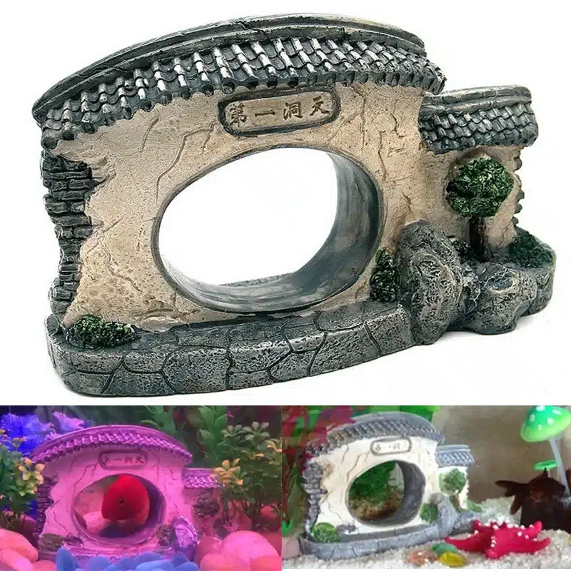 décor aquarium asiatique