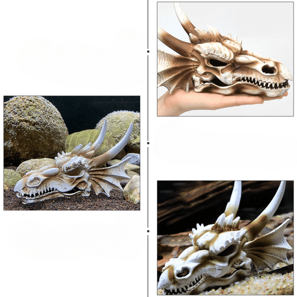 décoration aquarium asiatique