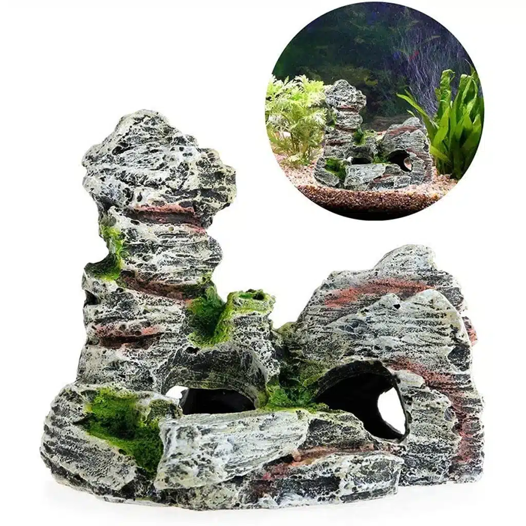 Décoration aquarium