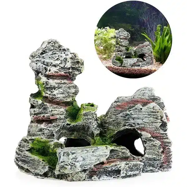 pierre pour terrarium