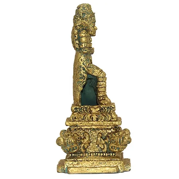 déco aquarium naturel