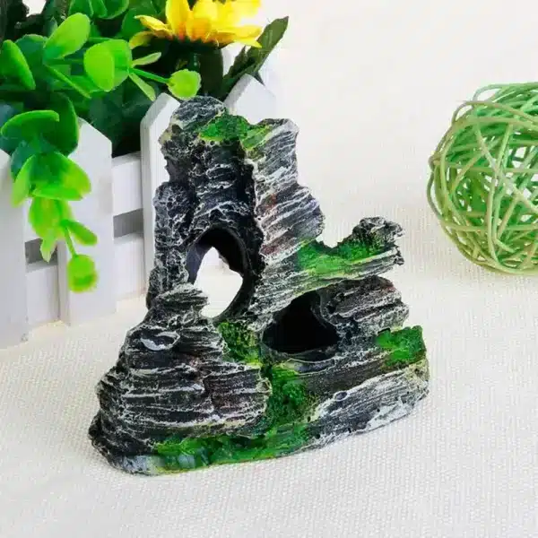 pierre pour terrarium