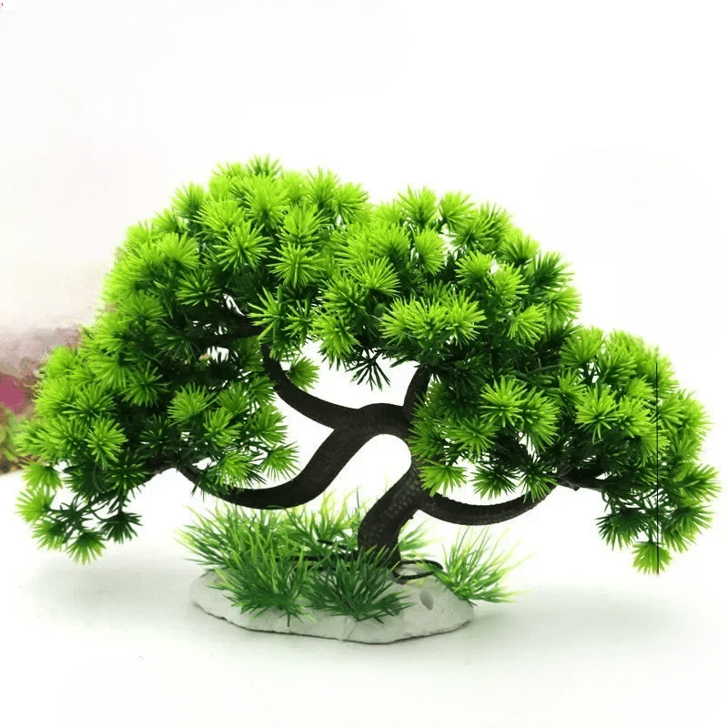 déco aquarium naturel