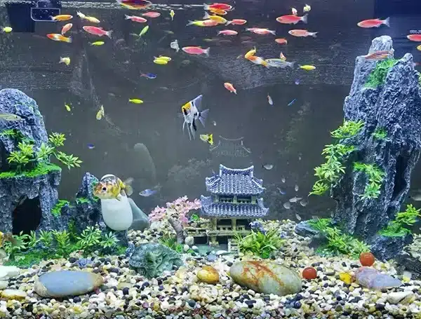 décor aquarium japonais