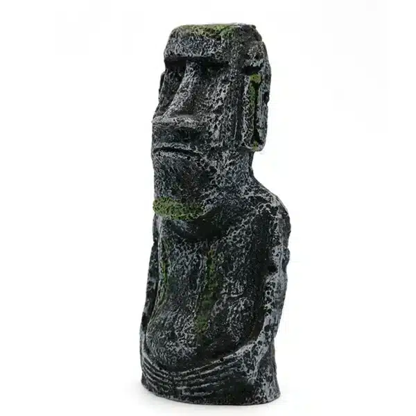 decor aquarium zen