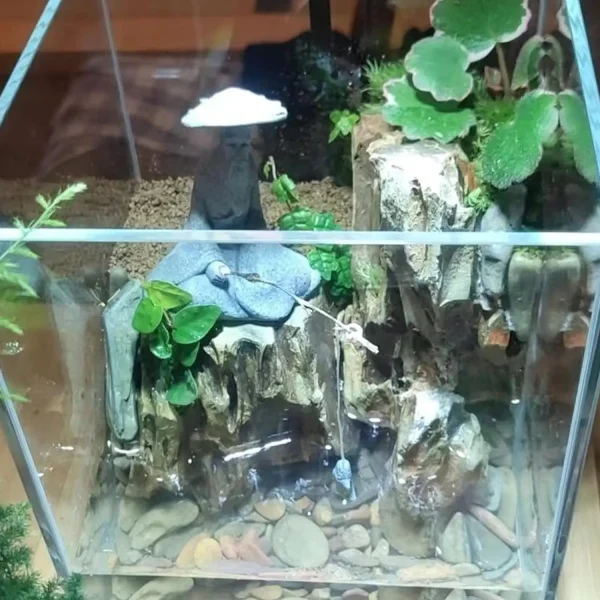 décoration aquarium asiatique