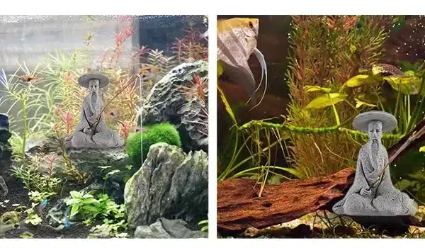 aquarium style japonais