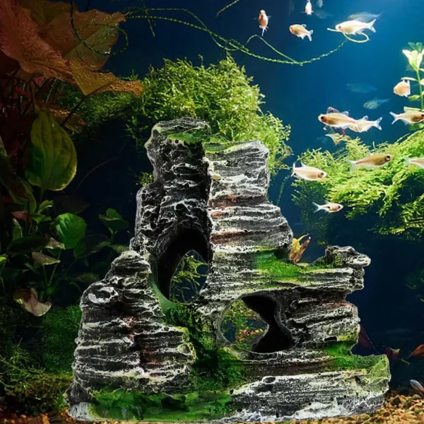 Décoration aquarium