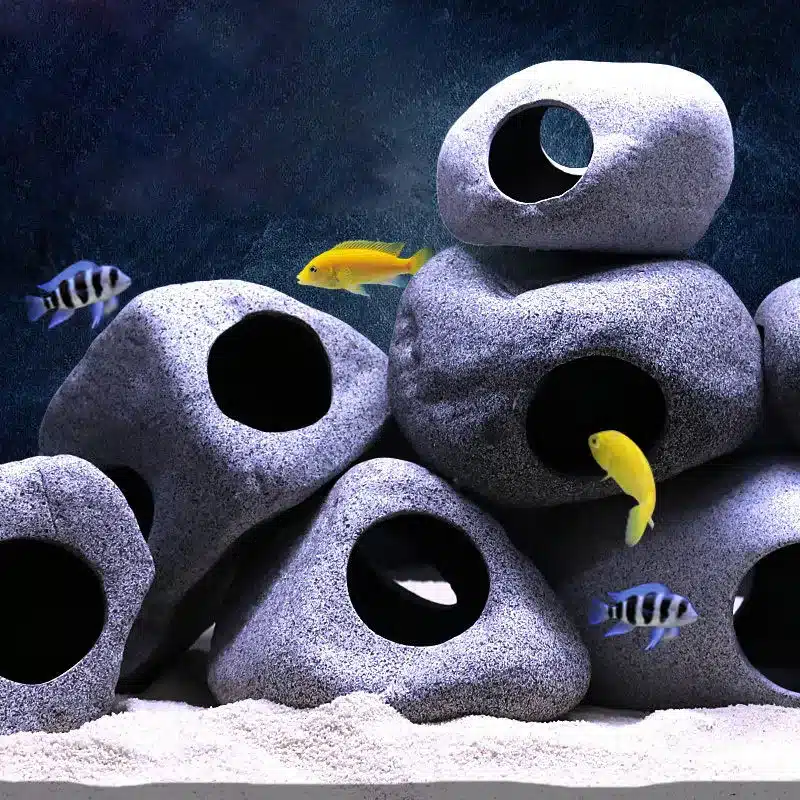 Ornement aquarium