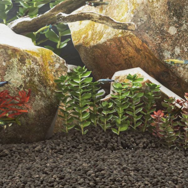 décor aquarium pierre