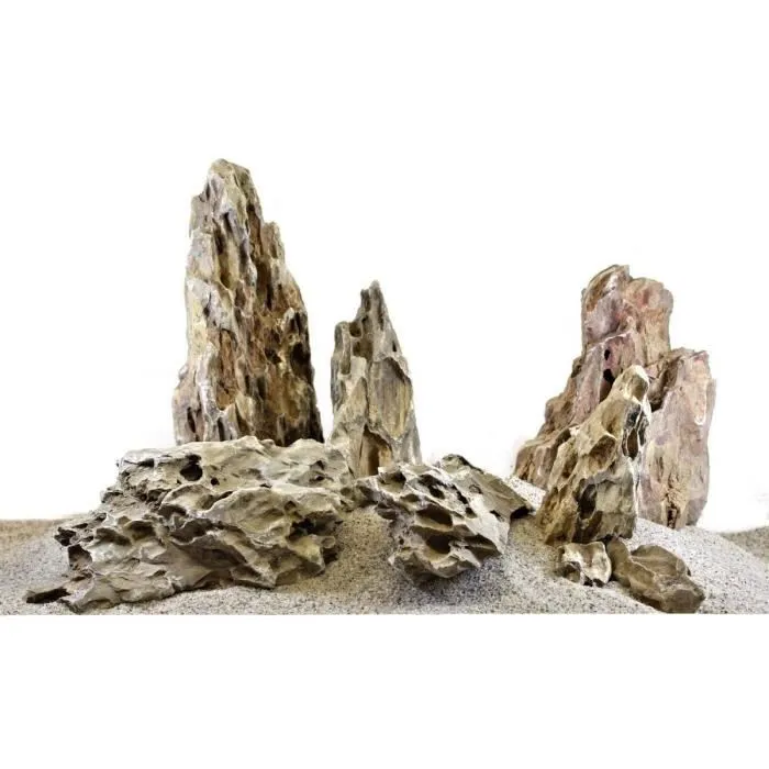 Décoration aquarium