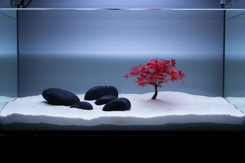 Deco aquarium zen