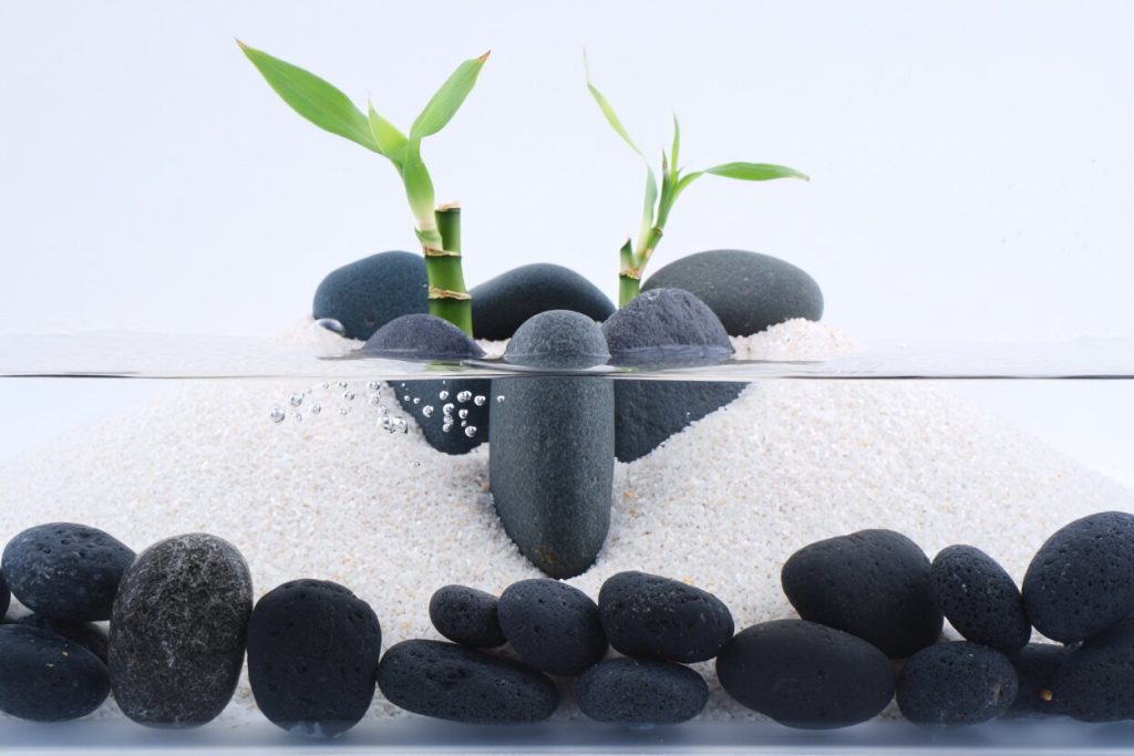 Décoration aquarium zen