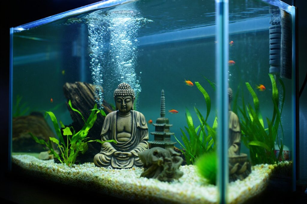 ornement aquarium Bouddha