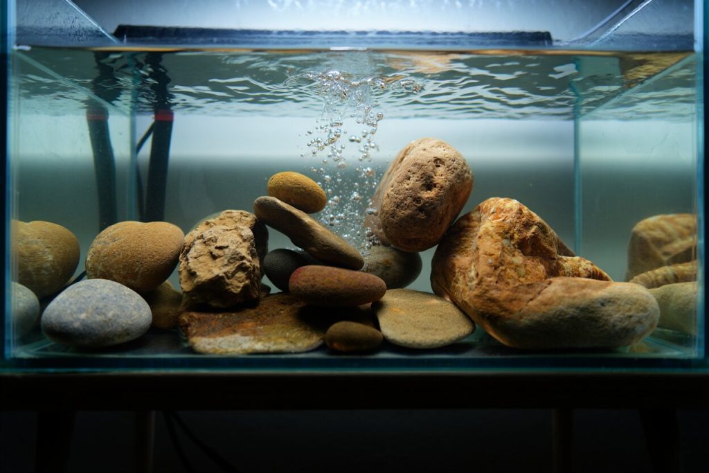 Decoration aquarium pierre