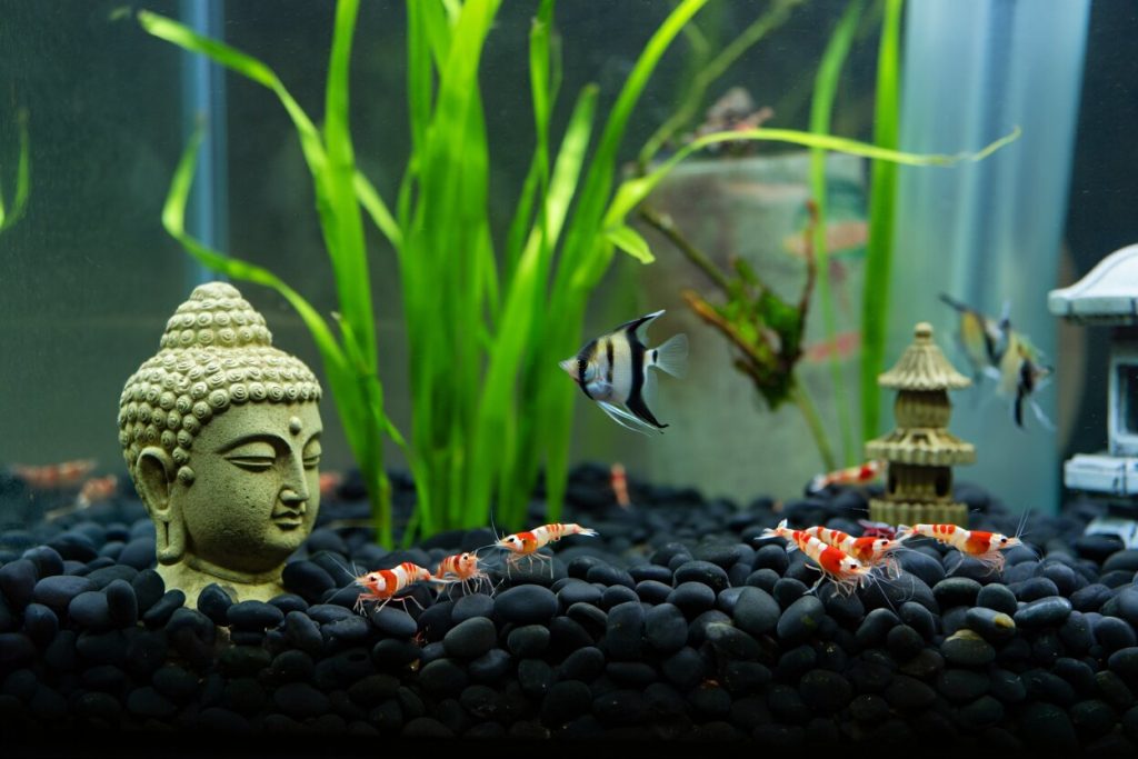 Décoration aquarium Bouddha