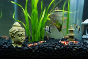 Décoration aquarium Bouddha