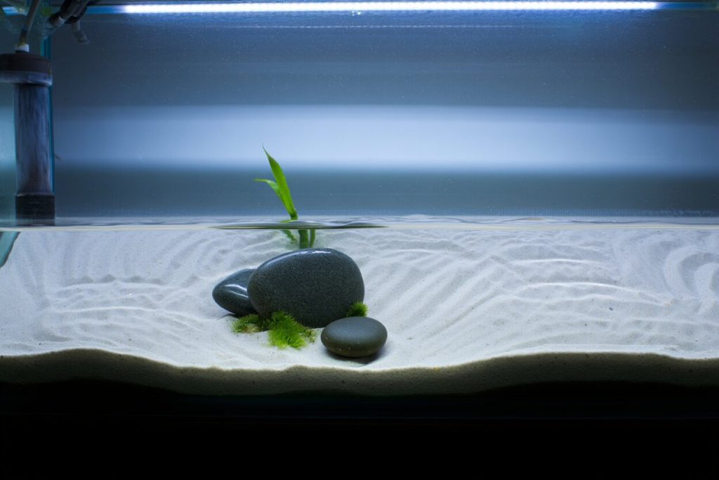 Déco aquatique zen