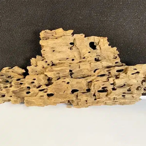 Bois naturel poreux aquarium et terrarium 20-30cm