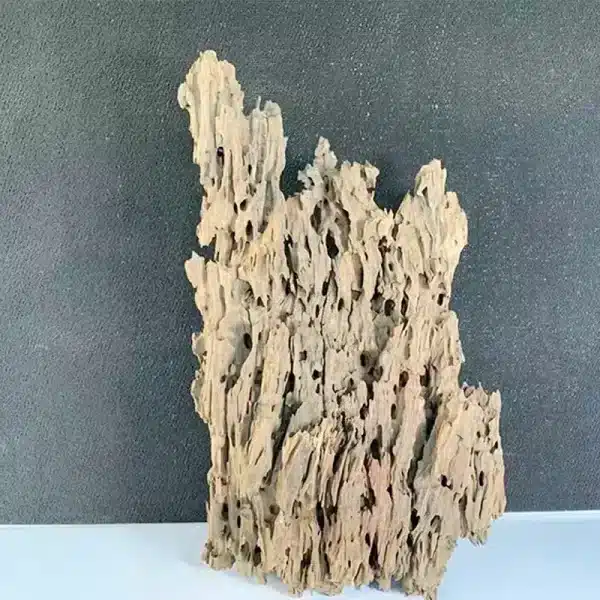 Bois naturel poreux aquarium terrarium