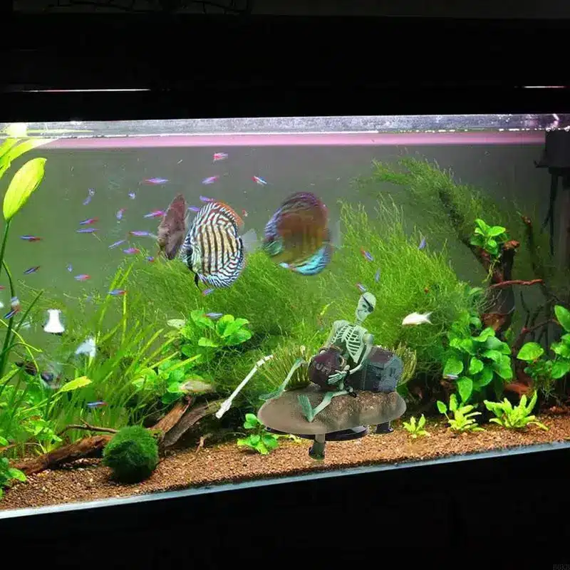 Décoration aquarium squelette pirate