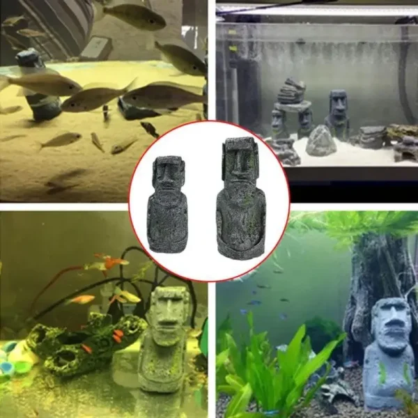 Décoration aquarium