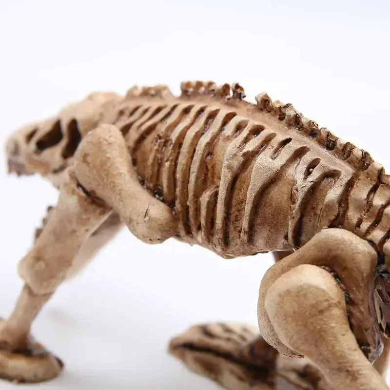 Grande déco aquarium 30cm squelette dinosaure fossile résine beige