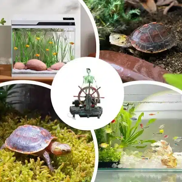 Décoration aquarium squelette