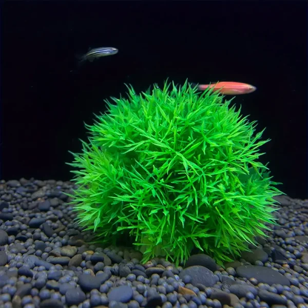 Lot 2 Boules Herbe Aquarium Déco Vert