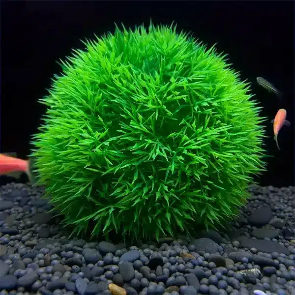 2 Boules Herbe Aquarium Déco Vert