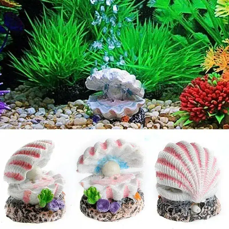 Ornement d'aquarium résine coquillage perle blanc ouvert et fermé sur base