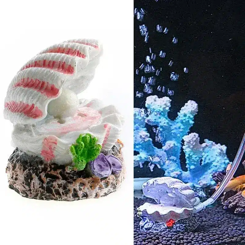 Deco aquarium résine coquillage perle blanc ouvert et fermé sur base.