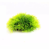 Plante artificielle verte touffue 6x7cm décoration petit aquarium