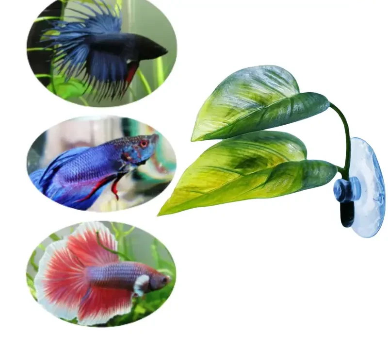 Accessoire pour Aquarium : 2 Feuilles Artificielles Betta 8x9cm Ventouse