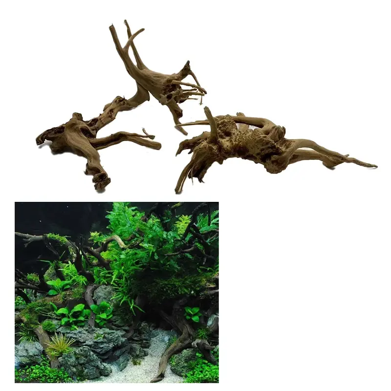 Déco de bois flotté naturel brun, forme organique, pour aquarium terrarium 15-20cm.