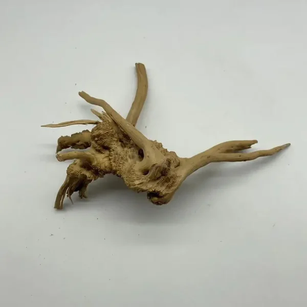 Souche de bois flotté naturel brun, forme organique, pour aquarium terrarium 15 à 20cm